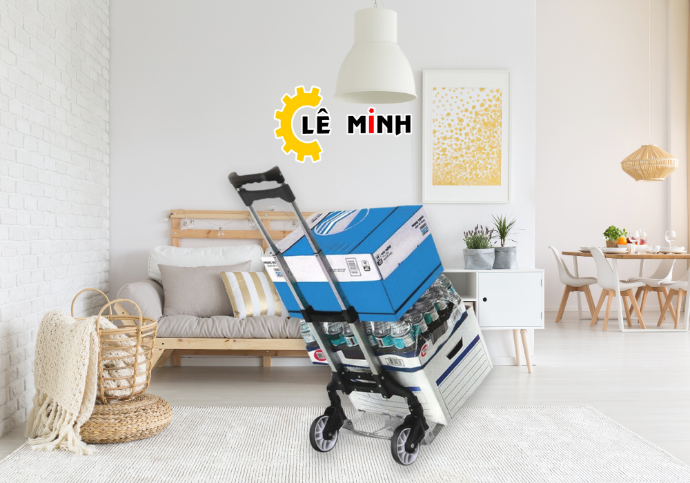 Xe đẩy hàng loại nhỏ
